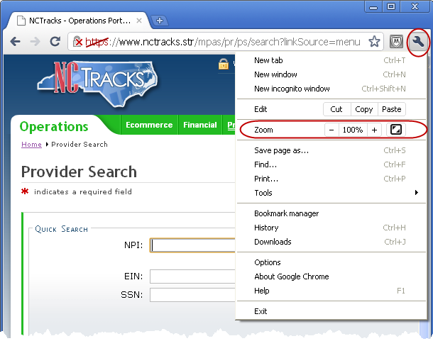 Chrome Zoom Function