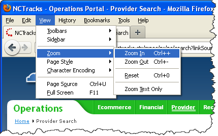 Firefox Zoom Function